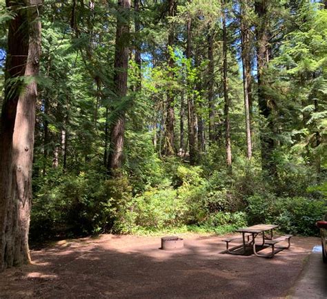 campgrounds near florence oregon|THE 10 BEST Florence Campgrounds